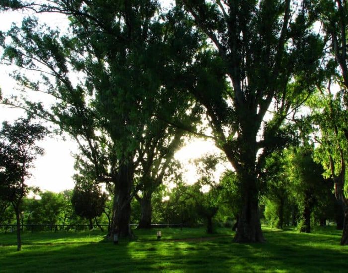 Parque Botanico Huerta Otea